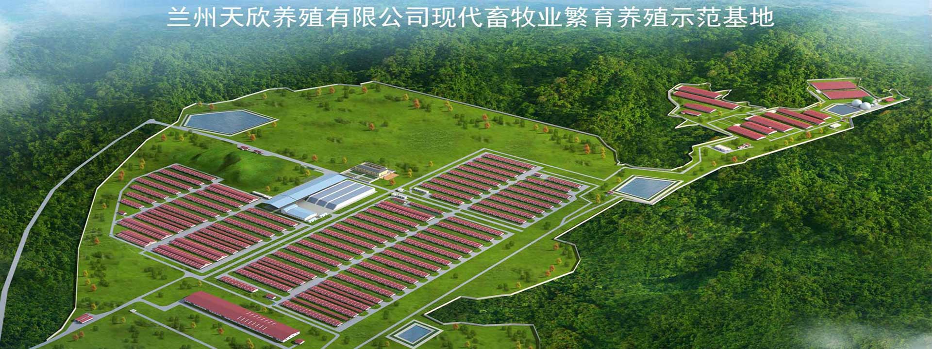 甘肅天欣農牧廠區
